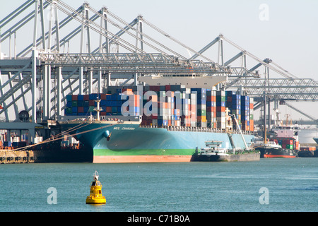 Container ship and cranes in a harbor Stock Photo