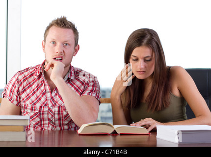 Two students studying in the library Stock Photo
