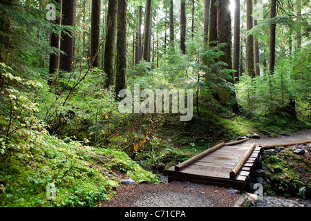 Bridge across small stream. Stock Photo