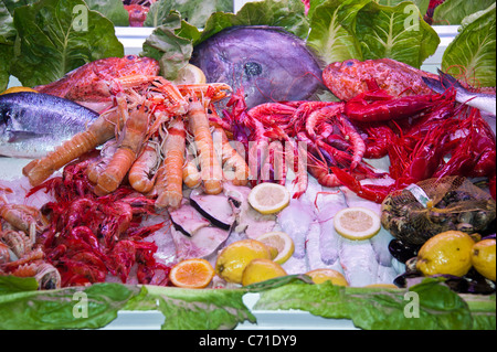 Display of seafood in restaurant, Garrucha, Almeria, Spain Stock Photo