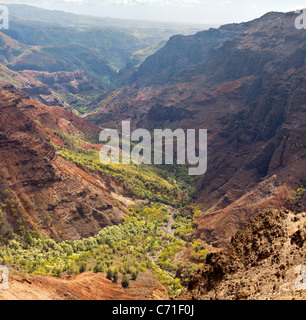 Verdant Valley high in Waimea Canyon, panorama. Bright green forest traces the water in the dry red rocks of the canyon. Stock Photo