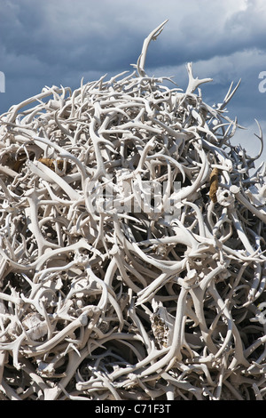 Pile of Antler Bones in Old Trail Town at Cody, Wyoming. Stock Photo