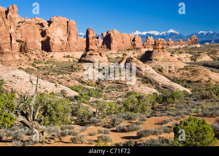 Garden of Eden formations in Arches National Park in Utah. Stock Photo