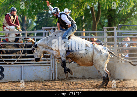 Cowboy riding a bull in a rodeo. Stock Photo