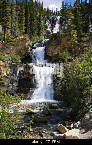 Tangle Falls in Jasper National Park, Alberta, Canada, along the Columbia Icefields Parkway. Stock Photo