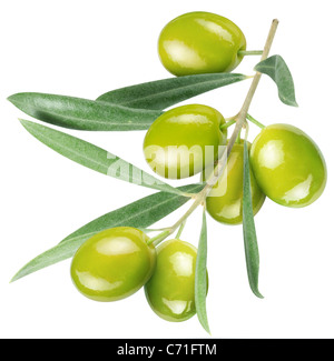 Olives on branch with leaves isolated on white. File contains a path to cut. Stock Photo