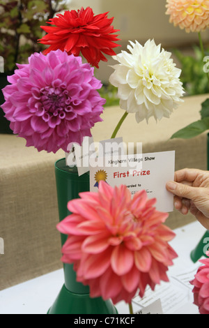 Entries in the Kinghorn village vegetable and flower show. Stock Photo