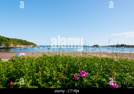 Seal Harbor Beach Mount Desert Island Maine USA Stock Photo