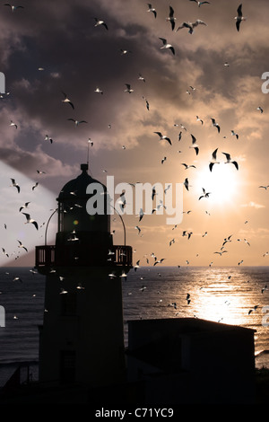 silhoutte of lighthouse in youghal county cork captured with the sun ...