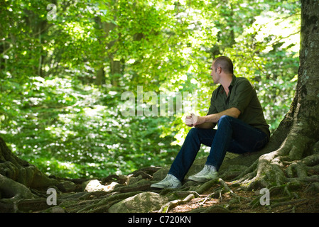 Man sitting on tree roots in woods Stock Photo