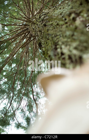 Person staring up at tree, low angle view Stock Photo