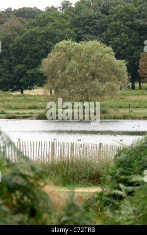 A View to the Pen Ponds in Richmond Park, London Stock Photo