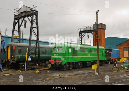 Diesel trains at the Railway Preservation Society of Ireland Stock Photo