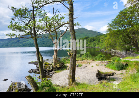 View over the loch on the A82 north of Luss on the west bank of Loch Lomond, Argyll and Bute, Scotland, UK Stock Photo