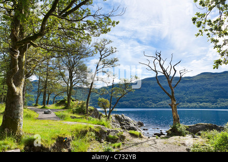 View over the loch on the A82 north of Luss on the west bank of Loch Lomond, Argyll and Bute, Scotland, UK Stock Photo