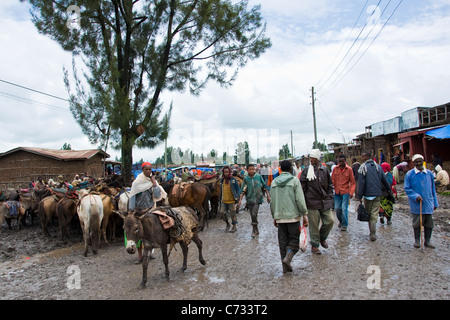 Traditional market, Adaba, Bale plateau, Ethiopia Stock Photo