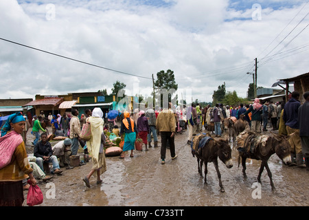 Traditional market, Adaba, Bale plateau, Ethiopia Stock Photo