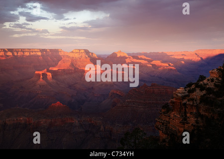 The evening sun across the Grand Canyon, Arizona, USA Stock Photo