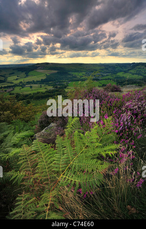 Dramatic late afternoon light over the heather and fern on Curbar Edge in the Peak District or England Stock Photo