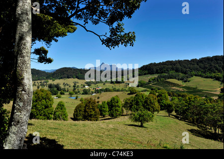 Sub tropical agriculture country near Murwillumbah Australia Stock Photo