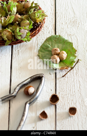 Fresh Unripe Hazelnuts with Nutcracker on White Wood Stock Photo