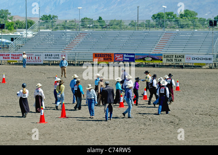 USA, California, Bishop 37th Mule Days, Obstacle course, walking the course 2006 Stock Photo