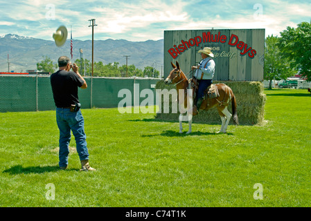 USA, California, Bishop 37th Mule Days, Portrait of show rider and mule 2006 Stock Photo