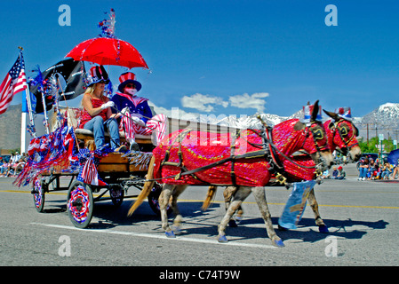 USA, California, Bishop 37th Mule Days, Parade, Mini mule drawn vehicle, team 2006 Stock Photo
