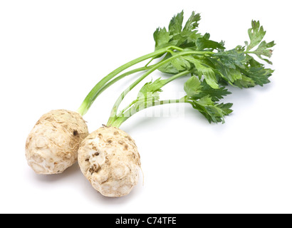 Fresh celery with root leaf on white background Stock Photo