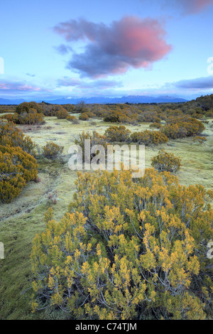 Mountains near Te Anau as seen from the Wilderness Area Scientific Reserve Stock Photo