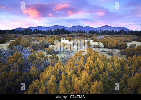 Mountains near Te Anau as seen from the Wilderness Area Scientific Reserve Stock Photo