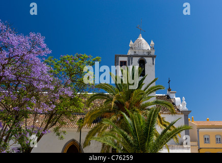 Portugal, the Algarve, Moncarapacho village church and jacaranda tree in flower Stock Photo