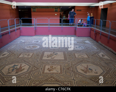 Dionysus mosaic at the Roman-Germanic Museum in Cologne Germany Stock Photo