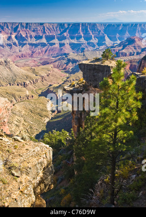 GRAND CANYON NAT'L PARK S-RIM AZ/JAN Dawn over Moran Point looking ...