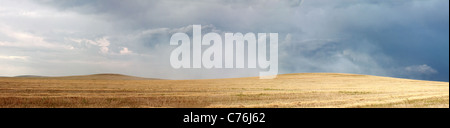 Panorama of Rye Stock Photo - Alamy