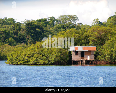 Caribbean hut in the mangrove, archipelago of Bocas del Toro, Panama Stock Photo