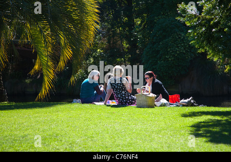A group of women having a picnic in the sunshine. Hagley Park, Christchurch, Canterbury, South Island, New Zealand. Stock Photo