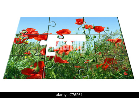 jigsaw puzzle Poppies: one part apart Stock Photo