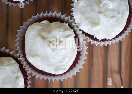 Cupcakes iced on a cooling rack. Stock Photo