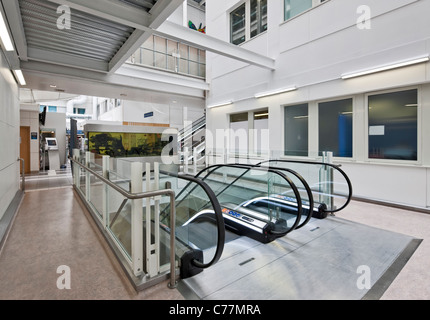 Chelsea and Westminster Hospital - Escalators to Lower Ground Floor Outpatients Department. Stock Photo