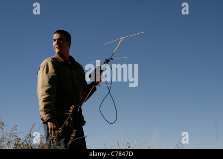 Researcher using radio telemetry to track wildlife in Oregon's Grande ...