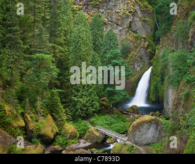 Wahclella Falls, Columbia River Gorge National Scenic Area, Oregon. Stock Photo