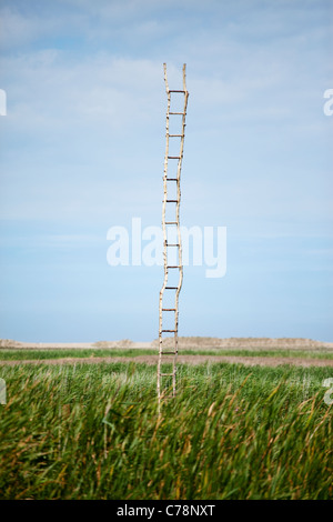 A wooden ladder in the middle of scrub land at Cley-Next-The-Sea in Norfolk, UK Stock Photo