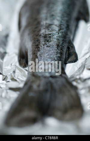 raw trout on a aluminum foil Stock Photo