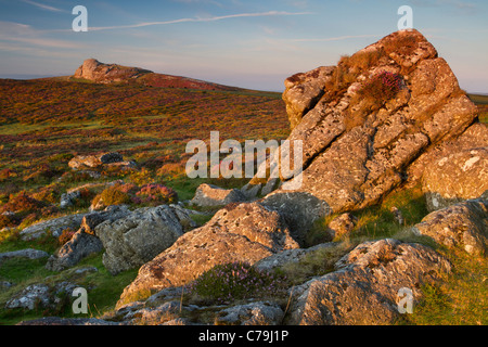 View to Haytor from Saddle Tor on Dartmoor in Devon Stock Photo