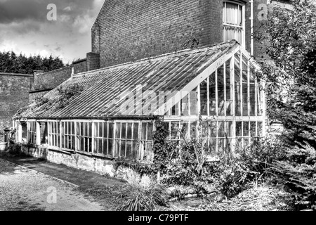 Louth, Lincolnshire, England, old victorian greenhouse derelict and overgrown huge massive structure left to rot Stock Photo