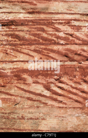vertical image of red and tan cross bedded sandstone background texture Stock Photo