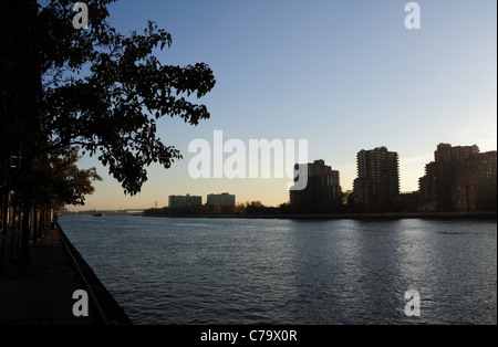 Blue sky early morning autumnal tree view, upstream from Queensboro Bridge, West Channel East River Roosevelt Island, New York Stock Photo