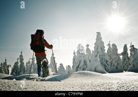 Man with snow shoes in the Nationalpark Harz national park, Lower Saxony, Germany, Europe Stock Photo