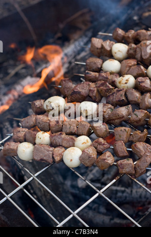 Beef shish kebab skewers cooking over a hot camp fire. Stock Photo